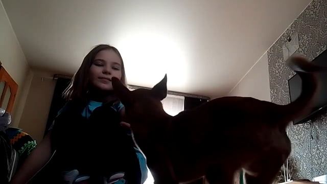 что я умею?!!!! смотреть онлайн