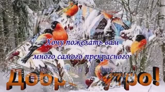 всем с добрым зимним утром смотреть онлайн