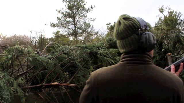 Tom Payne goes pigeon shooting on a high tower смотреть онлайн