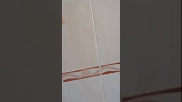 Тест драйв чистящего средства от Батэль Плита, стена, кастрюля смотреть онлайн