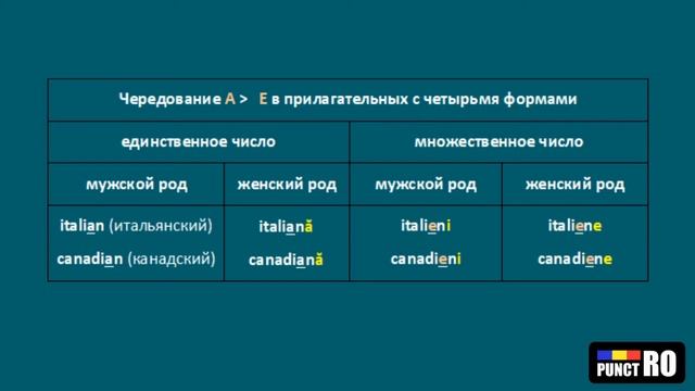 РУМЫНСКИЙ ЯЗЫК. РОД И ЧИСЛО ПРИЛАГАТЕЛЬНЫХ
