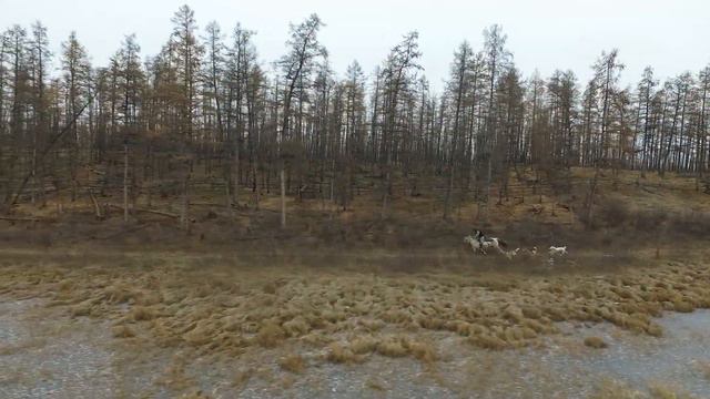 столбы смотреть онлайн