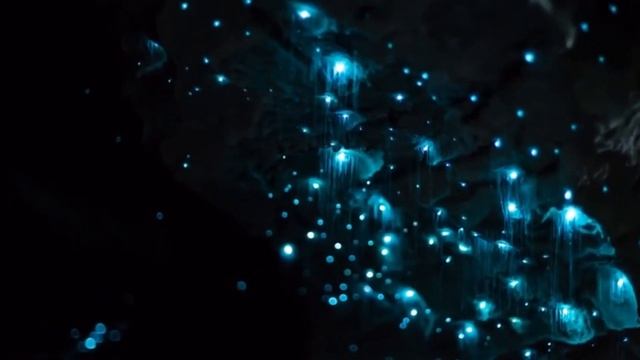 Новая Зеландия пещеры Вайтомо (Waitomo). Красивейшее чудо природы! смотреть онлайн