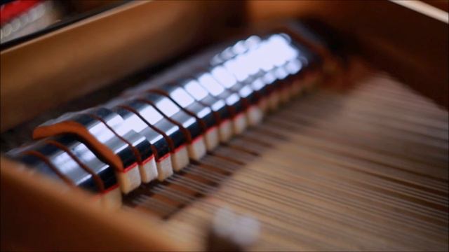 Jeremy Norris - Nocturne