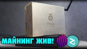 Домашний майнинг жив! iPollo v1 mini 300 m/h. Octa+zil на K1pool