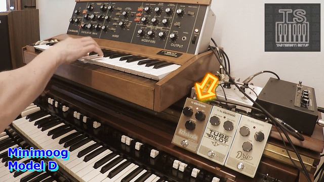 TC Electronic Pedals and Minimoog @tcelectronic смотреть онлайн