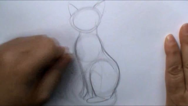 How to draw a basic cat sitting смотреть онлайн