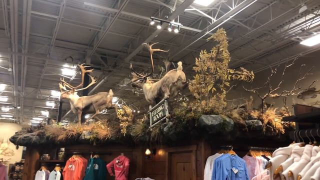 Мрія охотника / магазин Bass Pro Shops смотреть онлайн