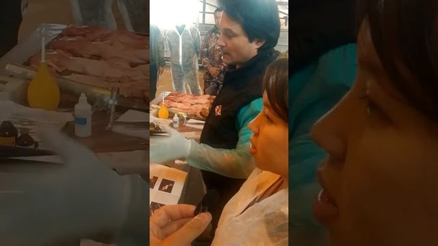 2 день семинара в KazBeef. Инструменты для осеменение и подготовка к процессу смотреть онлайн