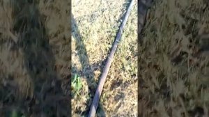 Мотопомпа 2СД