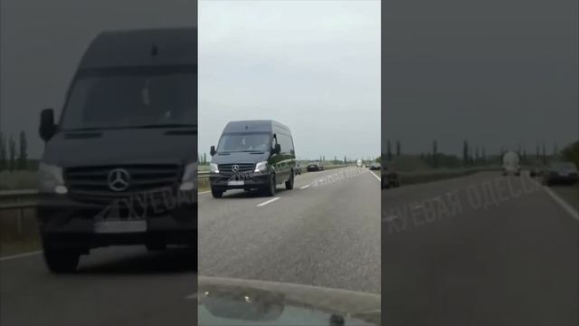 Те что сумели сбежать от тцкашников смотреть онлайн