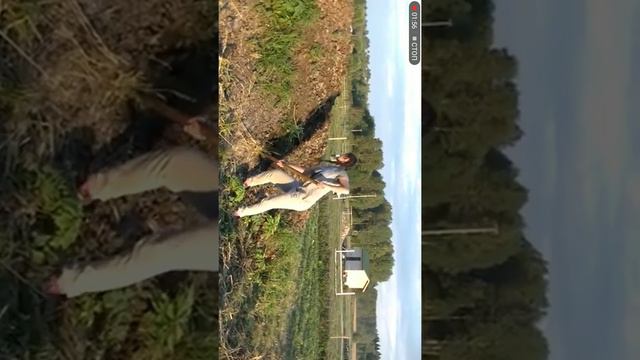 Едем едем в соседнее село смотреть онлайн