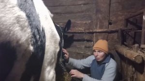 У коровы молоко горькое. Причины горького молока и молоко с запахом.