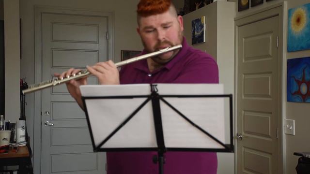 Gavi's Song - Lindsey Stirling (flute Cover)