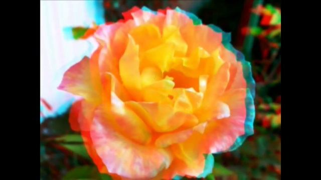 ANAGLYPHE 3D VOYAGE DANS LE JARDIN смотреть онлайн