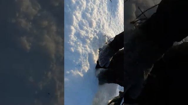 тайга барс 850 по глубокому снегу смотреть онлайн