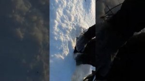 тайга барс 850 по глубокому снегу