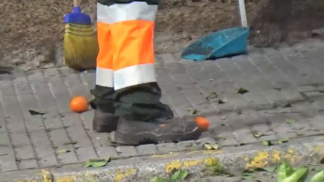 Сбор апельсинов в городе смотреть онлайн