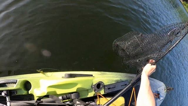 Indiana Kayak Fishing: Trolling for Muskies! 5/25/23 смотреть онлайн