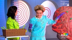 Жить здорово! Выпуск от 17.08.2017