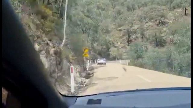 Mt Hotham - Omeo - Falls Creek LEVIN BZR & 2 FOCUS RS смотреть онлайн