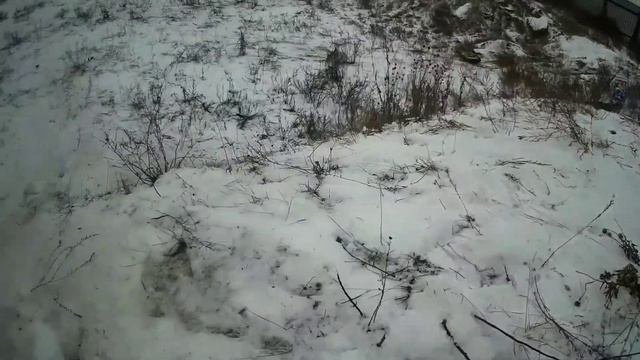 Лепим снеговика и катаемся на санках. Зимние развлечения. смотреть онлайн