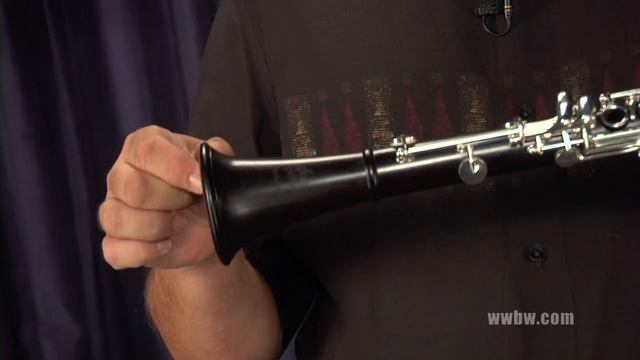 Allora Paris Series Professional Clarinet AACL-913 смотреть онлайн