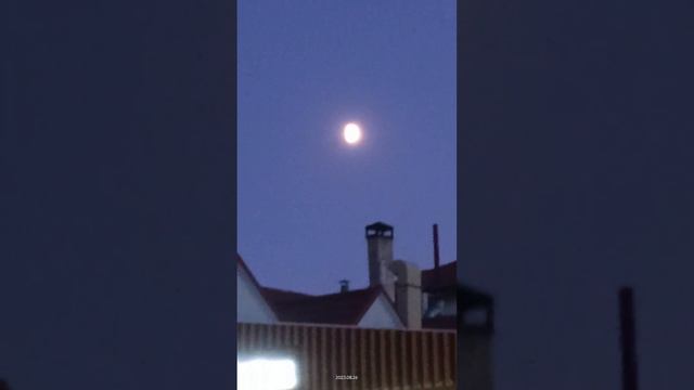@Artem_Reutov Мелодия"Одинокий пастух" смотреть онлайн