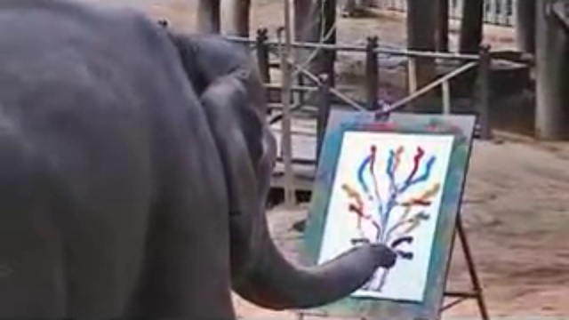 ШОК! Животные умеют рисовать! смотреть онлайн