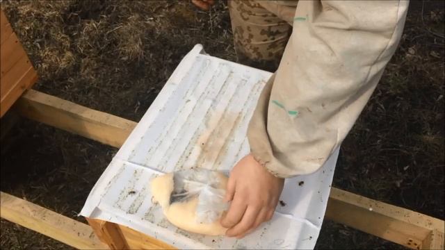 Первый удар по клещу. Обработка пчел от варроатоза пластинками. Первый осмотр семей в новом сезоне смотреть онлайн