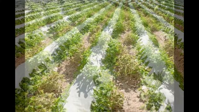 Мастерские Ремонта