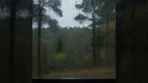 Fallen Down - Slowed Down