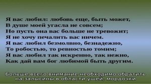 Почему кошка чешется, лижется, а блох нет? Кошка постоянно чешется: причины, способы лечения