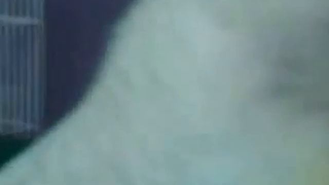 Поцелуй попугая!Поцелуй по -армянски) смотреть онлайн