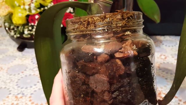 Обзор реанимашек в закрытой системе!! смотреть онлайн