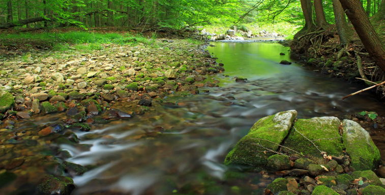 Шум воды, очищающий разум, звук водопада ✦ Успокаивающие Звуки ✦ Relax Sleep смотреть онлайн