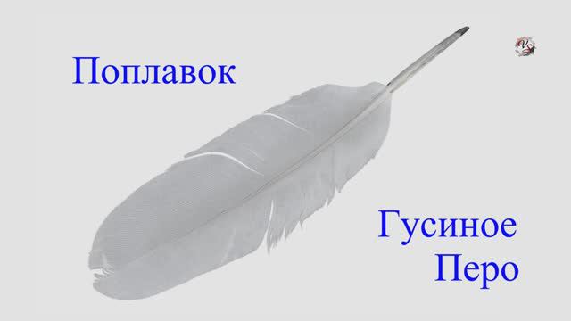 Поплавок _ГУСИНОЕ ПЕРО_. Варианты применения. Fishing angeln câu cá memancing Рыбалка- как вижу её Я смотреть онлайн