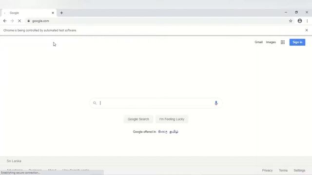 Selenium Test on Automating a Search from Google Browser смотреть онлайн