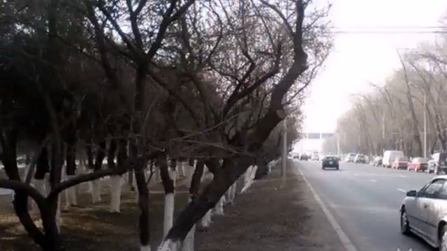 Школа№78 г.Алма - Ата.avi смотреть онлайн