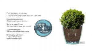 Цветоный горшок Deco с автополивом