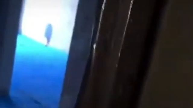 Китайская дверь от застройщиков