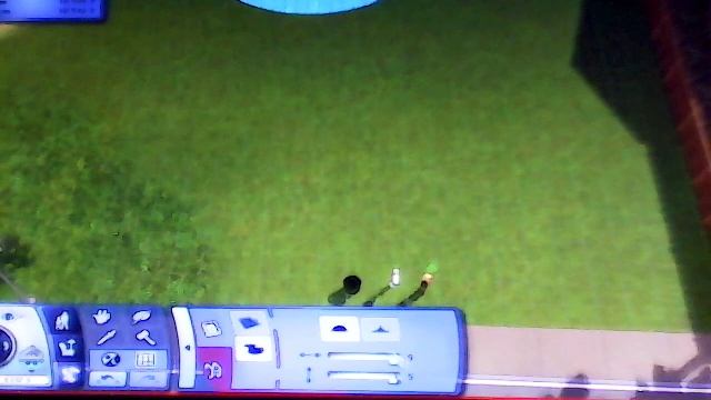 Фигурный бассейн в the sims 3 смотреть онлайн