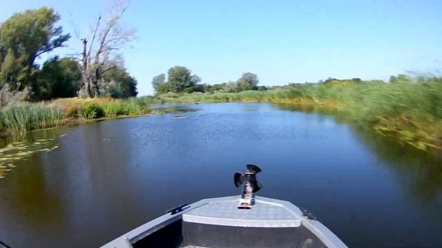 Нахлыстом окуня и краснопёрку на средней волге - World fly fishing смотреть онлайн