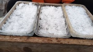 Посев ампельной и кустовой виолы (анютины глазки) на рассаду двумя способами