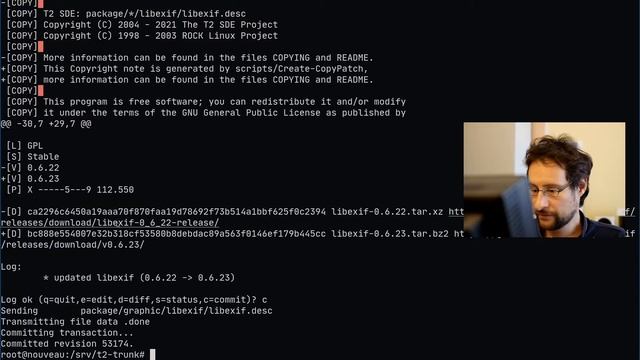 Regression-land: G++ STL, 20 years of random regressions in the name of cleanups & std conformance… смотреть онлайн