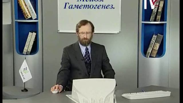 10 класс Мейоз. Гаметогенез у животных и растений смотреть онлайн