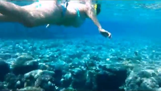 Египет Шарм Хадаба 2014 смотреть онлайн