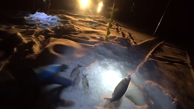 ХОТЕЛИ НОЧЬЮ НАЛИМА ПОЛОВИТЬ,НО ПОЛУЧИЛОСЬ ПО ДРУГОМУ.ЗИМНЯЯ РЫБАЛКА В ДЕКАБРЕ. смотреть онлайн
