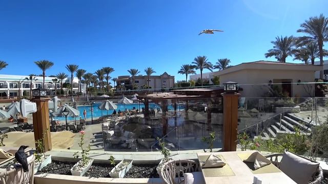 Египет 🇪🇬 ПЛЯЖ Sultan Gardens Resort 5* Бухта ШАРКС БЕЙ ШАРМ ЭЛЬ ШЕЙХ