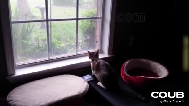 1609710035_looped_1609710035.mp4 смотреть онлайн